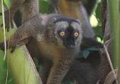 Mayotte, dcouverte d'une le sauvage et prserve